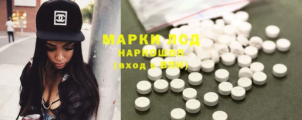 стафф Новозыбков