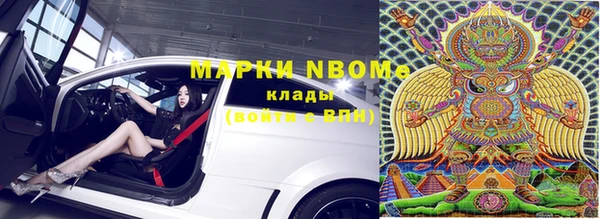 прущие грибы Арсеньев