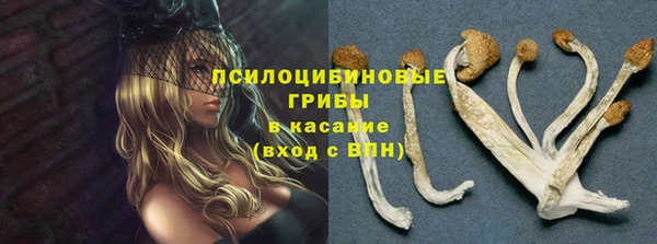 бошки Аркадак
